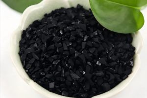 Coconut Shell vs. Coal-Based Activated Carbon